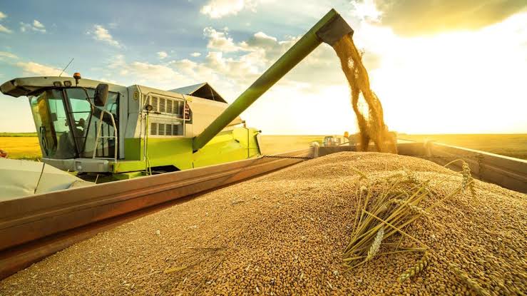 Ukraine Estimates Agricultural Sector Losses Due to Export Issues Exceeding $3 Billion